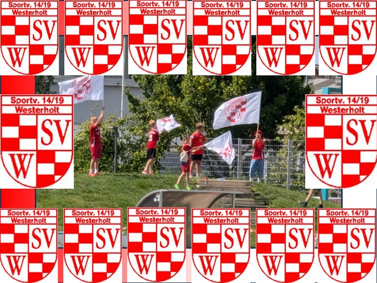 01 SV Westerholt Fahne