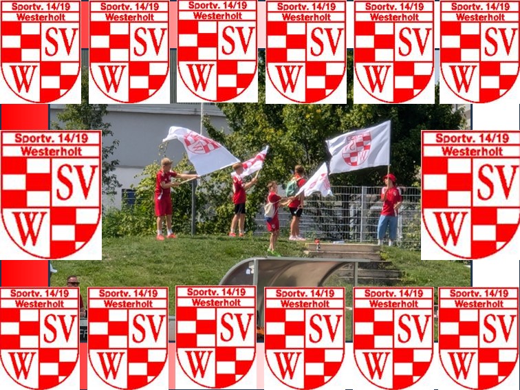 01 SV Westerholt Fahne