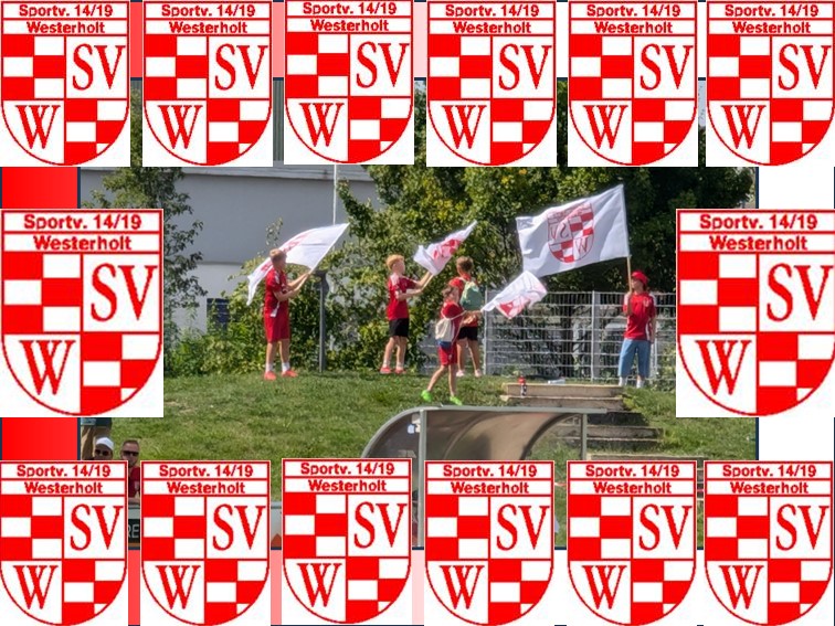 01 SV Westerholt Fahne