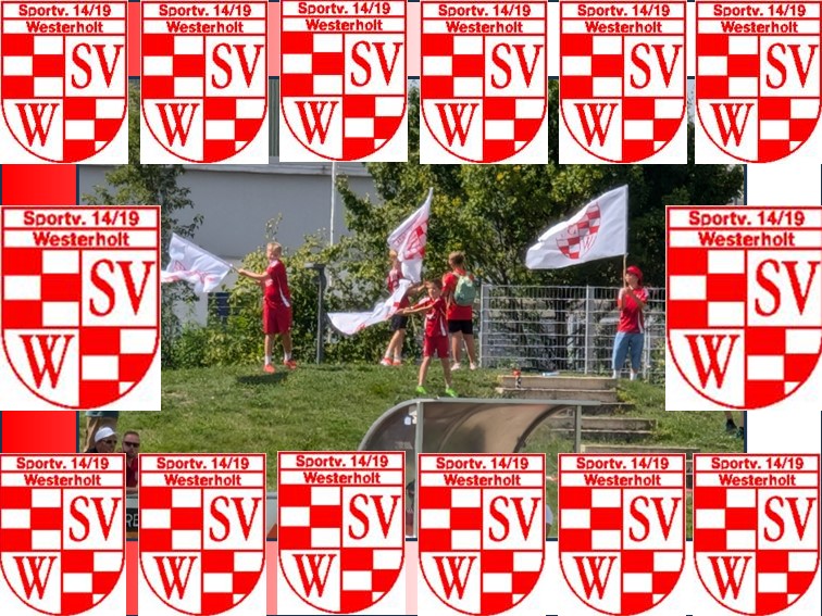 01 SV Westerholt Fahne