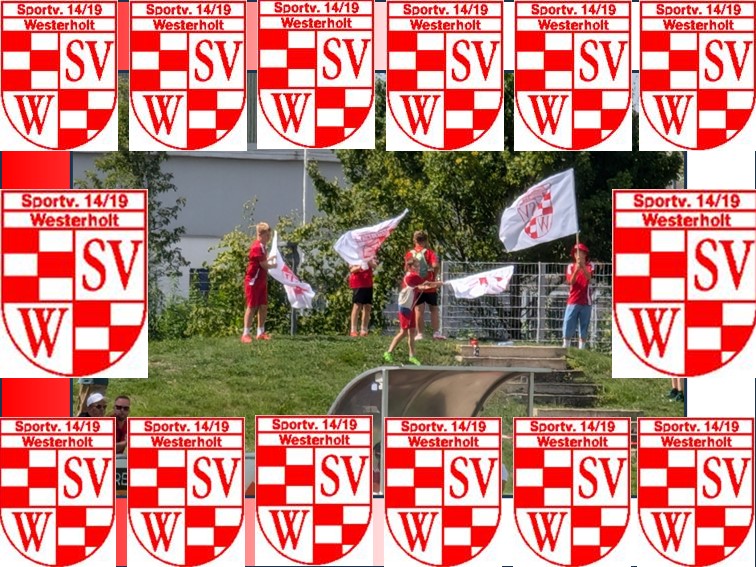 01 SV Westerholt Fahne