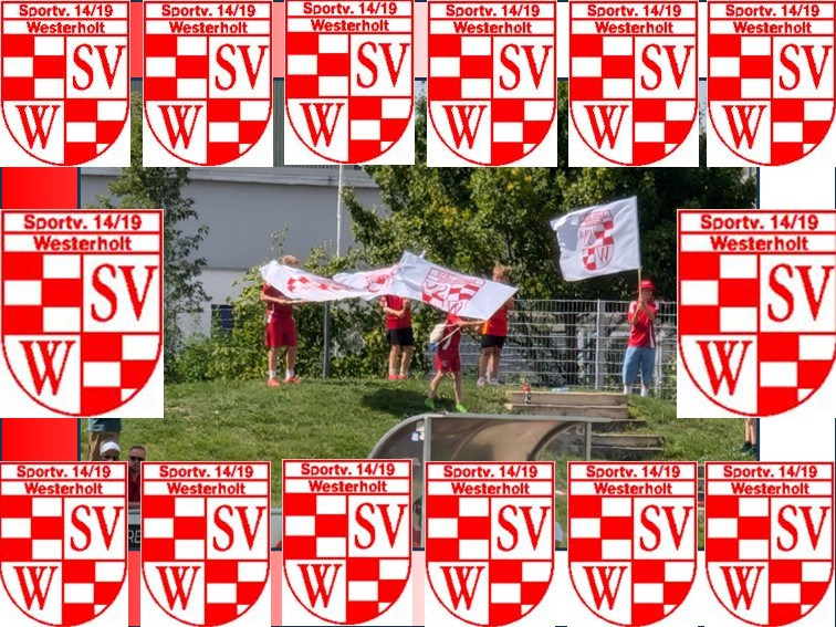 01 SV Westerholt Fahne