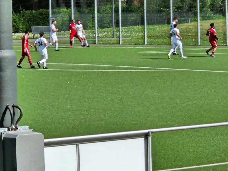 01 TSV Westerholt
