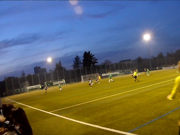 Eintracht Frankfurt 001