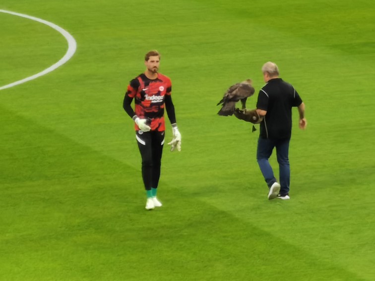 001 Eintracht Frankfurt Tripple Sieger