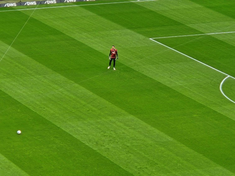 003 Eintracht Frankfurt Deutscher Meister