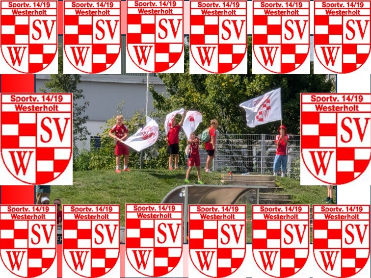 01 SV Westerholt Fahne