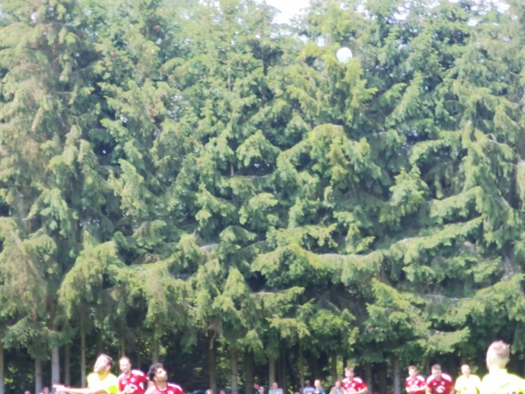 001 SpVgg Weissenstadt   BSG Saas Bayreuth